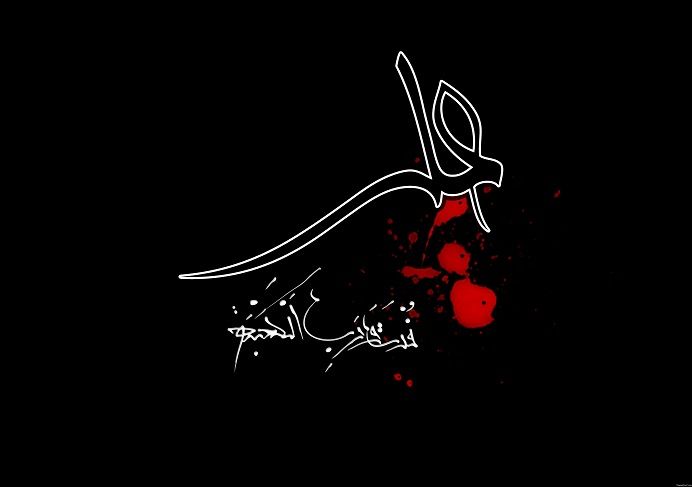 او در مقاله «علی بن ابیطالب والتقریب بین المذاهب» می گوید:

فضیلت وحدت خواهی علی کمتر از فضیلت سبقت او بر ایمان نیست