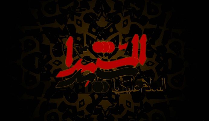 خاطراتی از ارادت اهل سنت به امام حسین «ع»

مجلسی که امام زمان در آن حضور داشت