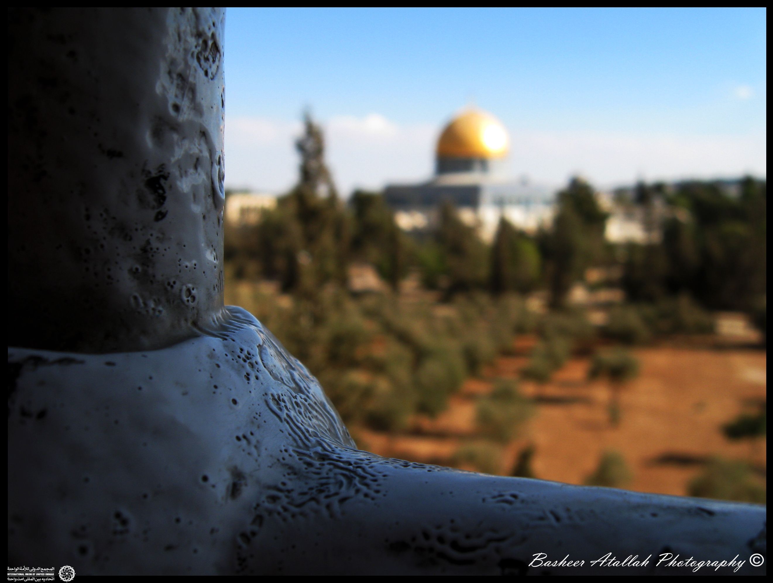 ایده هایی درباره مسجد و مساله فلسطین

باز کردن باب تعامل و تبادل فرهنگی در سطح مساجد
