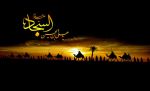 امام سجاد علیه‌السلام در بیان بزرگ عارف غزنین